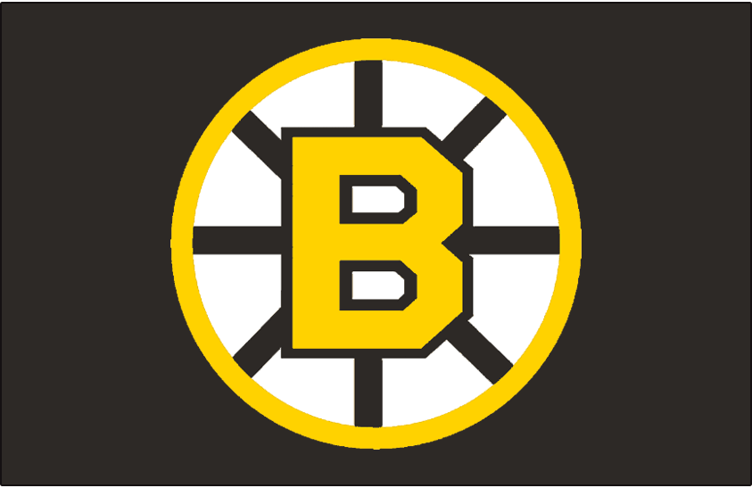 Boston Bruins 1955-1995 Jersey Logo DIY iron on transfer (heat transfer)